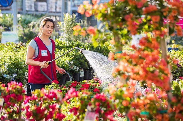 A Lowes Employee Watering The Plants They Sell