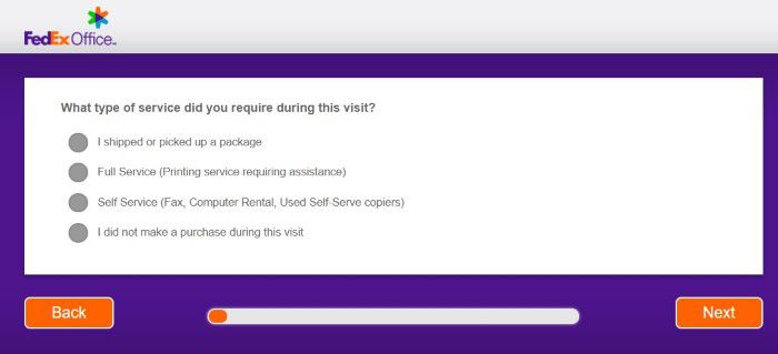 Screenshot Of Fedex Welisten Survey 2